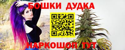 mdpv Лесосибирск