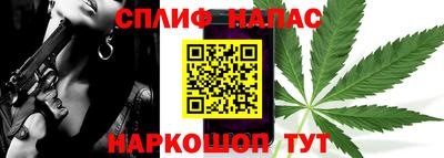 mdpv Лесосибирск