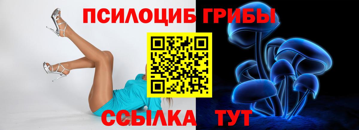 Псилоцибиновые грибы GOLDEN TEACHER Губаха